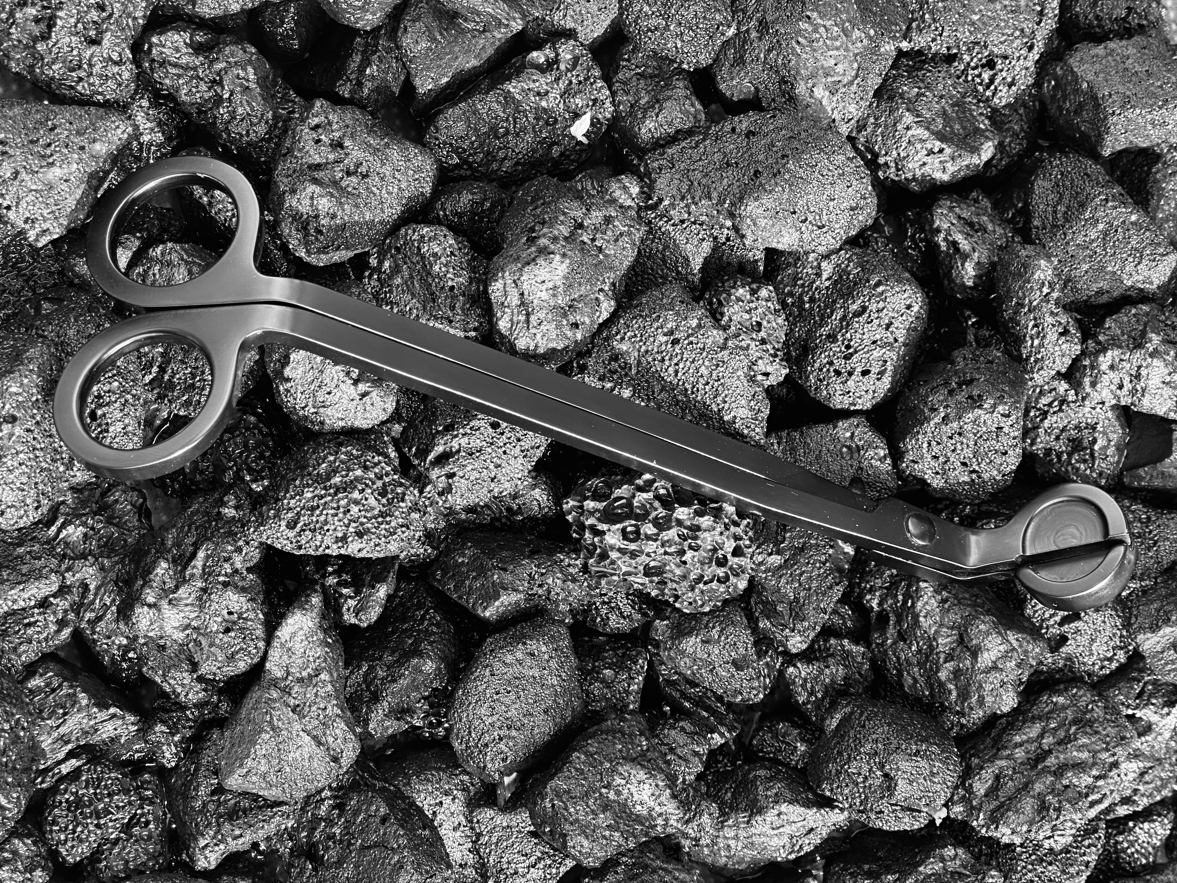 Stainless Steel Wick Trimmer